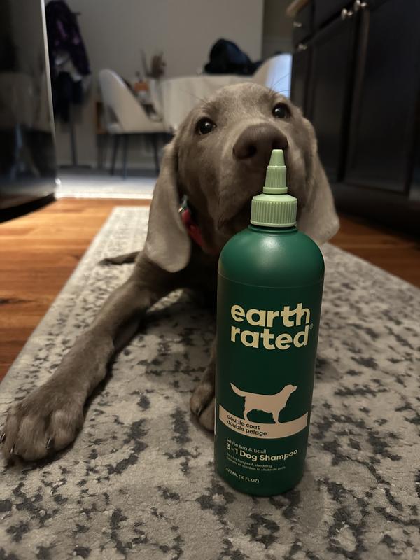 Dogs Groomers Bathing Dogs With Human Shampoo Dog Groomers Is It