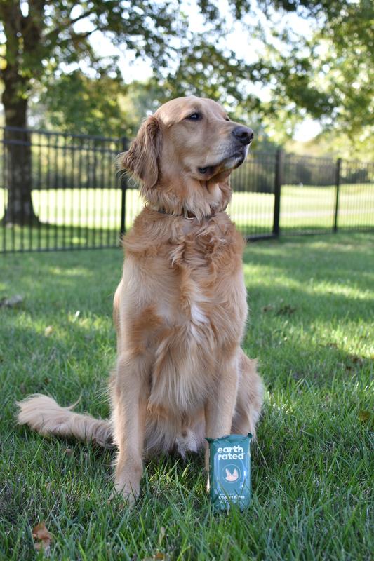 thumbnail image 2 of PET4U Biodegradable Pet Ear Wipes - 120 Count With Aloe Vera & Castor Oil For Dogs & Cats 2 of 13