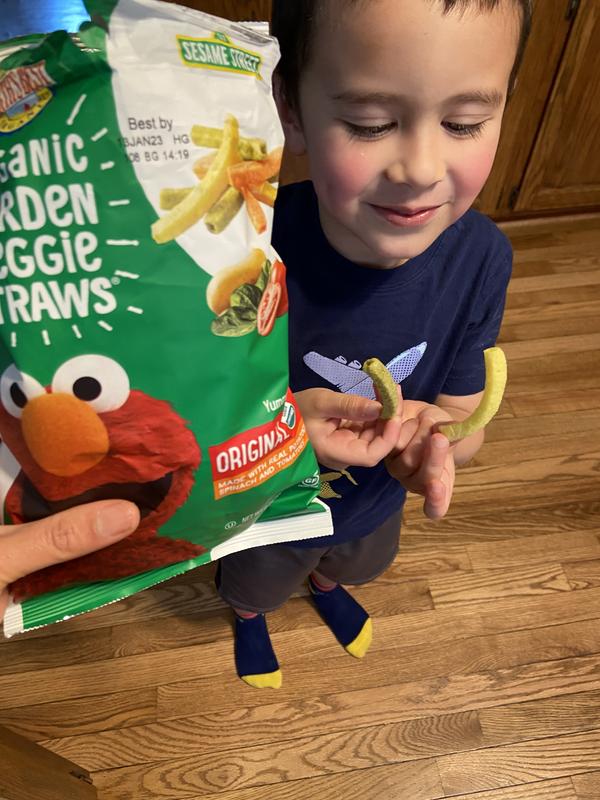 Earth's Best Organic Toddler Snack, Veggie Straws (2.5 oz., 6 ct.) - Sam's  Club