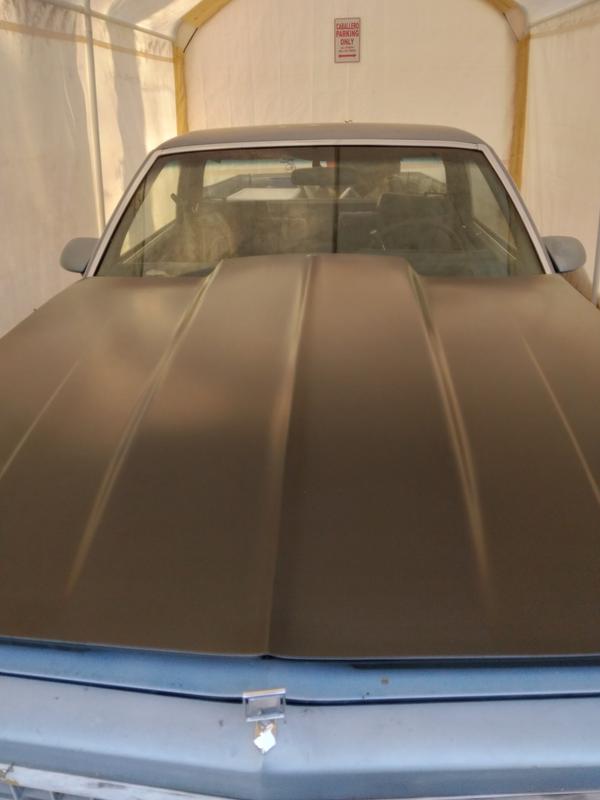 1970 Chevrolet El Camino POR-15 SELF - ETCHING PRIMER (PINT), Chevrolet El  Camino Parts