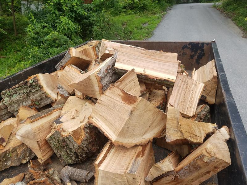 CS-590 TIMBER WOLF Farm and Ranch Chainsaw | ECHO