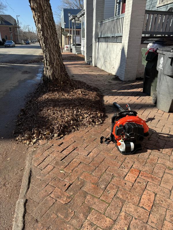 PB-580H Backpack Blower with Hip-Mounted Throttle | ECHO
