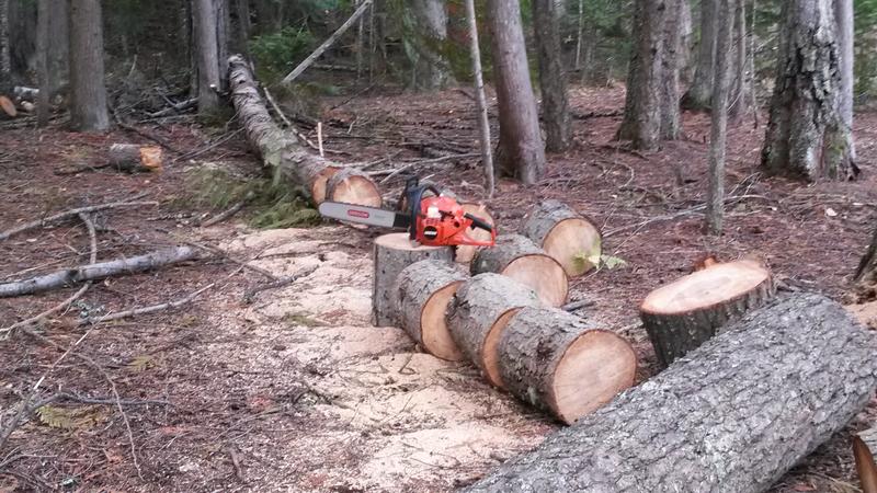 Reviews for ECHO 18 in. 50.2 cc Gas 2-Stroke X Series Rear Handle