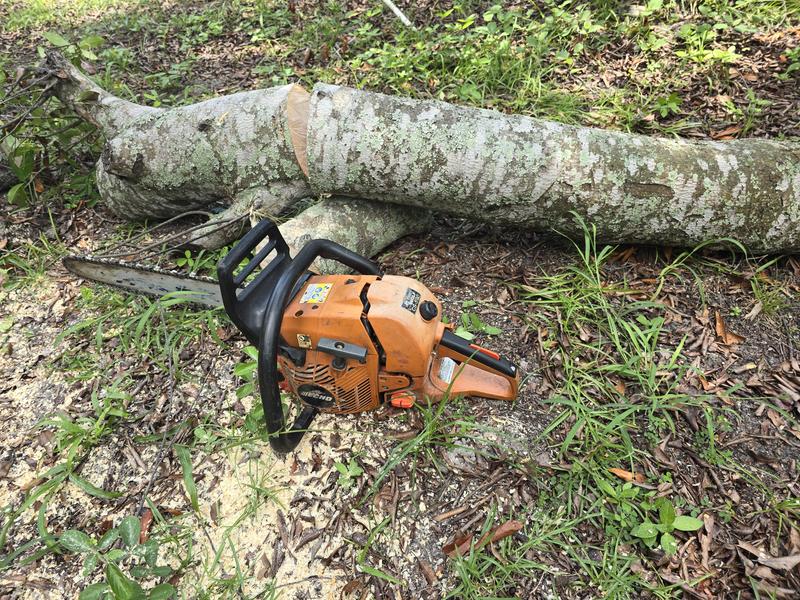 CS-590 TIMBER WOLF Farm and Ranch Chainsaw | ECHO
