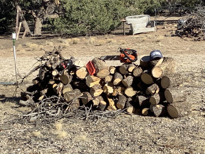 CS-271T Top Handle Chainsaw | ECHO