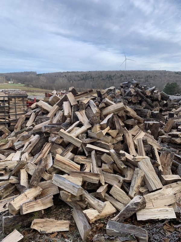 CS-590 TIMBER WOLF Farm and Ranch Chainsaw | ECHO