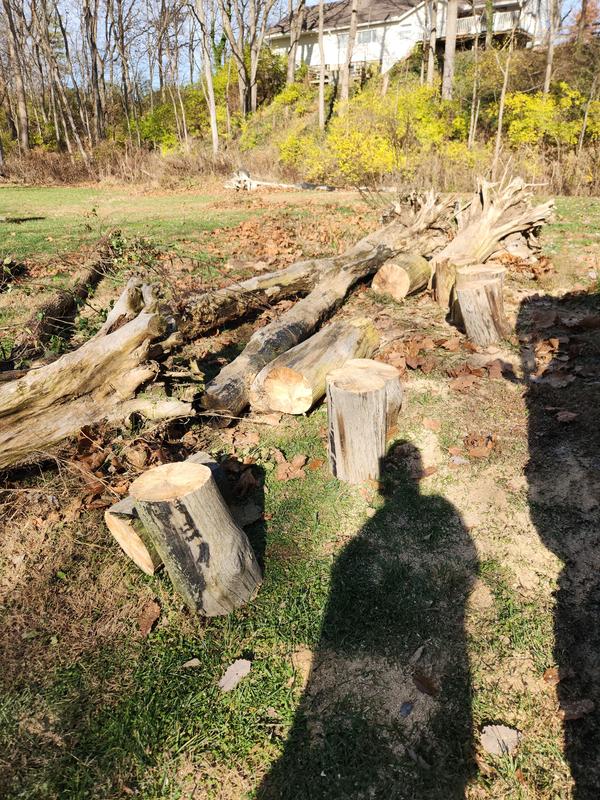 CS-590 TIMBER WOLF Farm and Ranch Chainsaw | ECHO