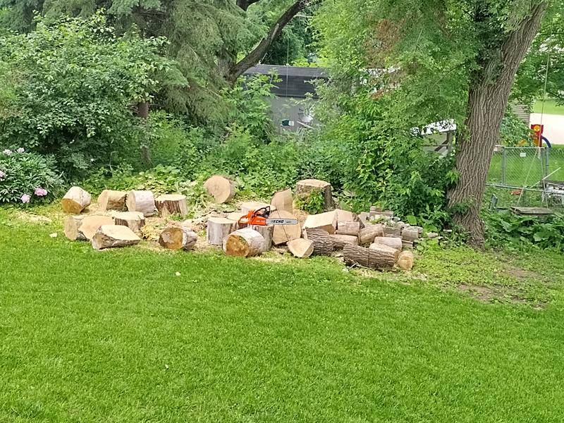 エラプシーク cs590セット 590ml CS-590 TIMBER WOLF Farm and Ranch Chainsaw | ECHO