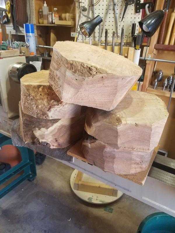 CS-590 TIMBER WOLF Farm and Ranch Chainsaw | ECHO