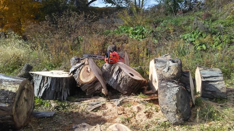 CS-590 TIMBER WOLF Farm and Ranch Chainsaw | ECHO