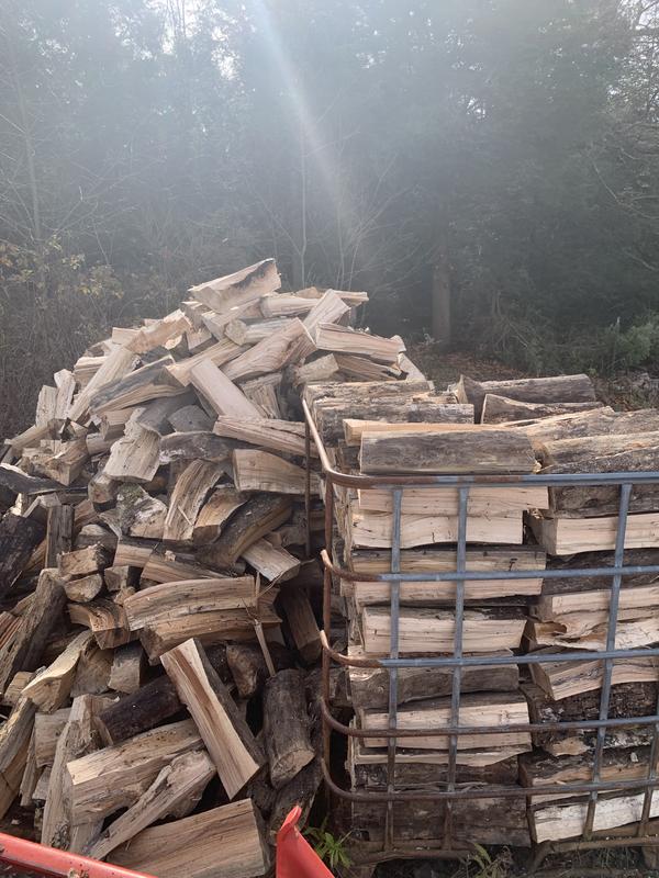 CS-590 TIMBER WOLF Farm and Ranch Chainsaw | ECHO