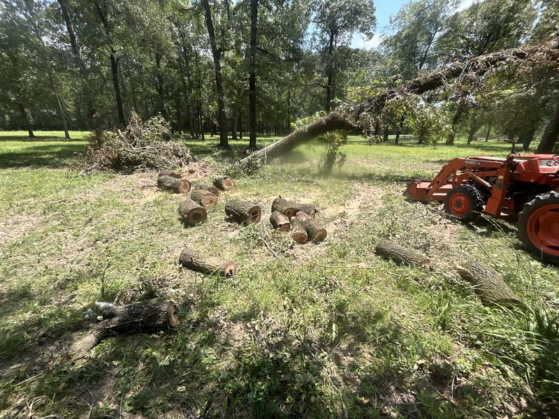 CS-590 TIMBER WOLF Farm and Ranch Chainsaw | ECHO