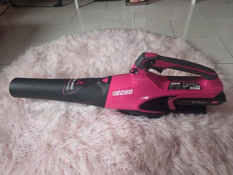 Echo eForce HandHeld Leaf Blower 56V