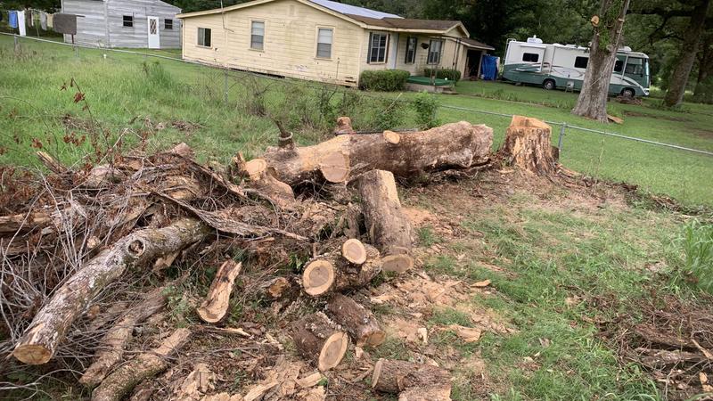 CS-590 TIMBER WOLF Farm and Ranch Chainsaw | ECHO