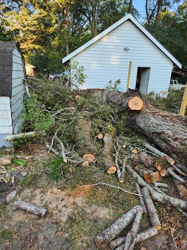 CS-590 TIMBER WOLF Farm and Ranch Chainsaw | ECHO