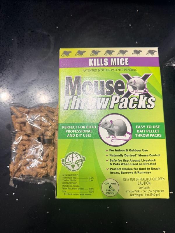 MouseX 6-Count Throw Packs Mouse Killer 620206 at Lowes.com