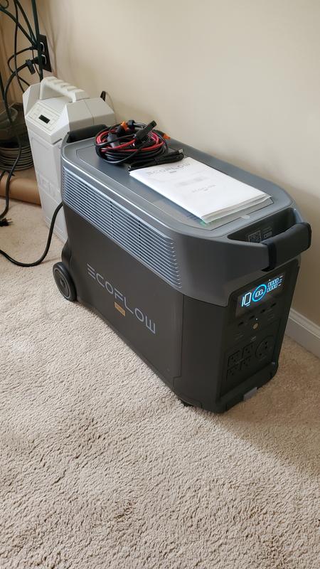 EcoFlow DELTA Pro Bag
