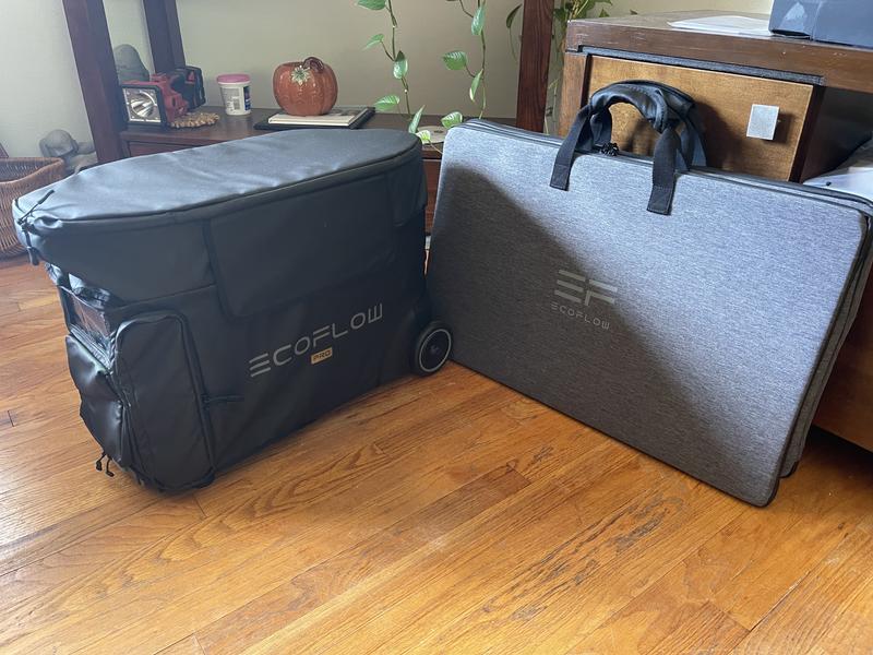 EcoFlow DELTA Pro Bag