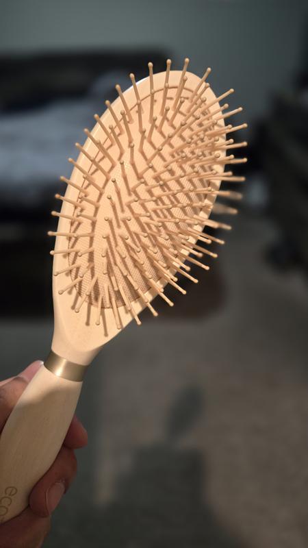 EcoTools Shine Activating Detangler Hairbrush, Brush For Wet Or