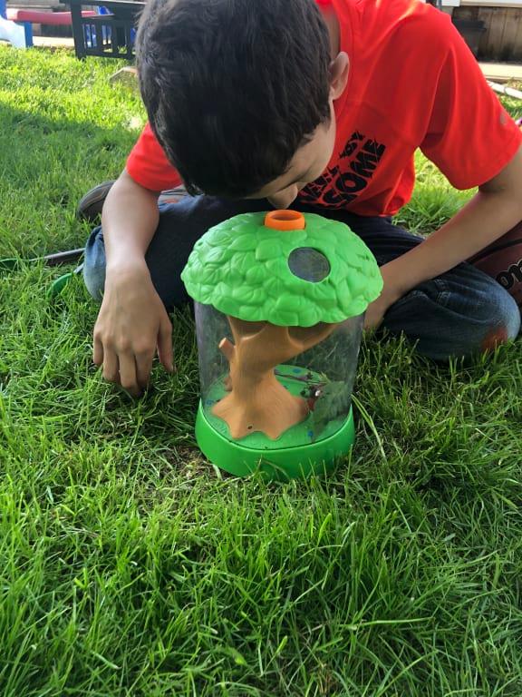 My 10 year old inspecting his ants