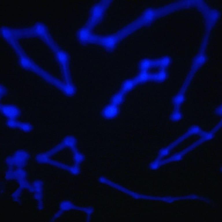 Review photo 6.