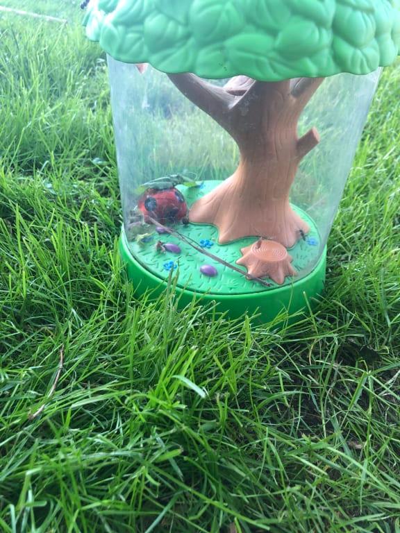 His new big habitat