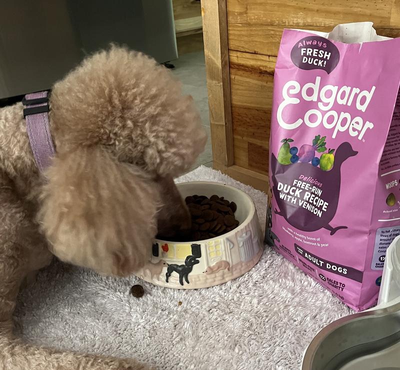 Free-Run Duck with Venison Adult Dog Dry Food | Edgard & Cooper