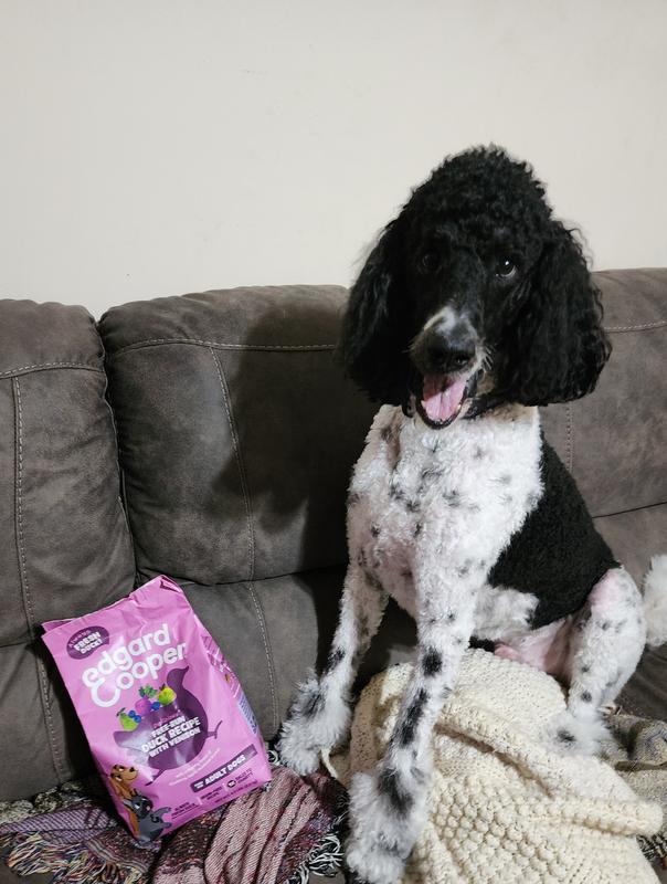 Free-Run Duck with Venison Adult Dog Dry Food | Edgard & Cooper