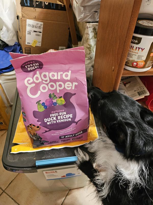 Free-Run Duck with Venison Adult Dog Dry Food | Edgard & Cooper