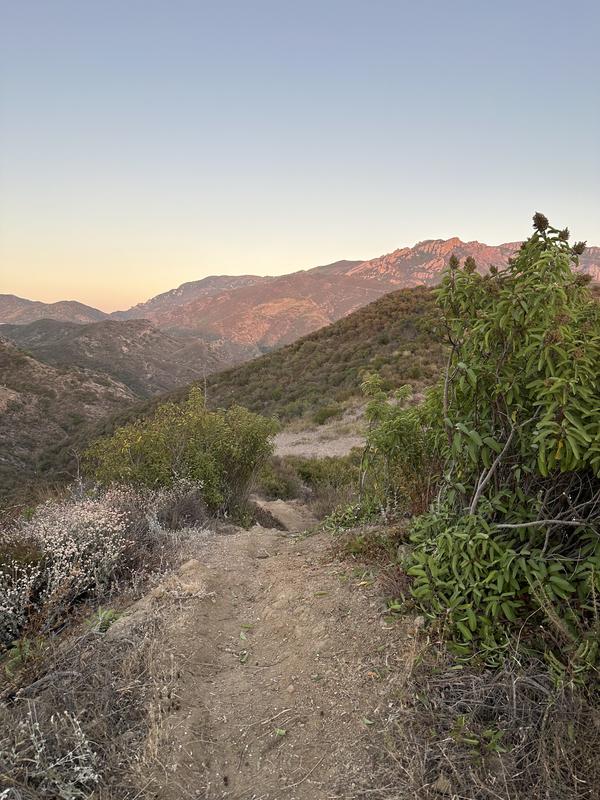 Photo - commentaire&nbsp;8.