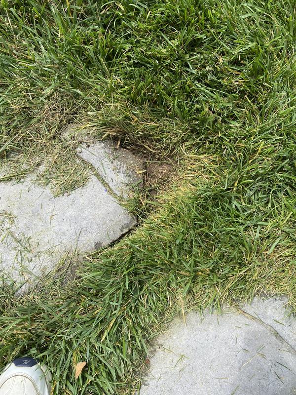 Line breaking and scalloped edges