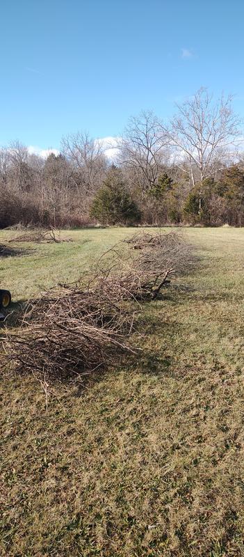 Looks like I'll be having a bonfire!