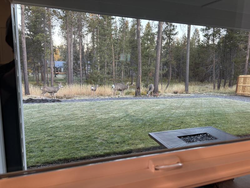 Photo - commentaire 5.