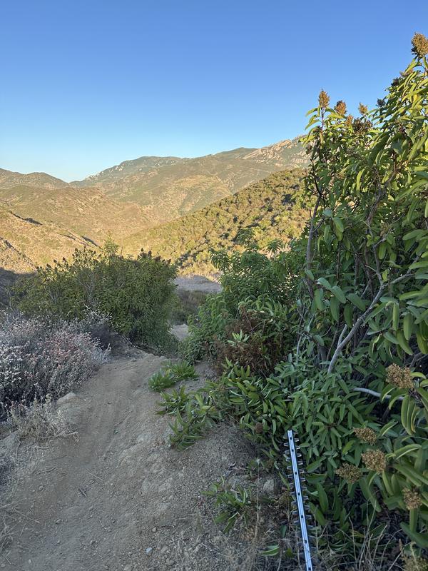 Photo - commentaire&nbsp;7.