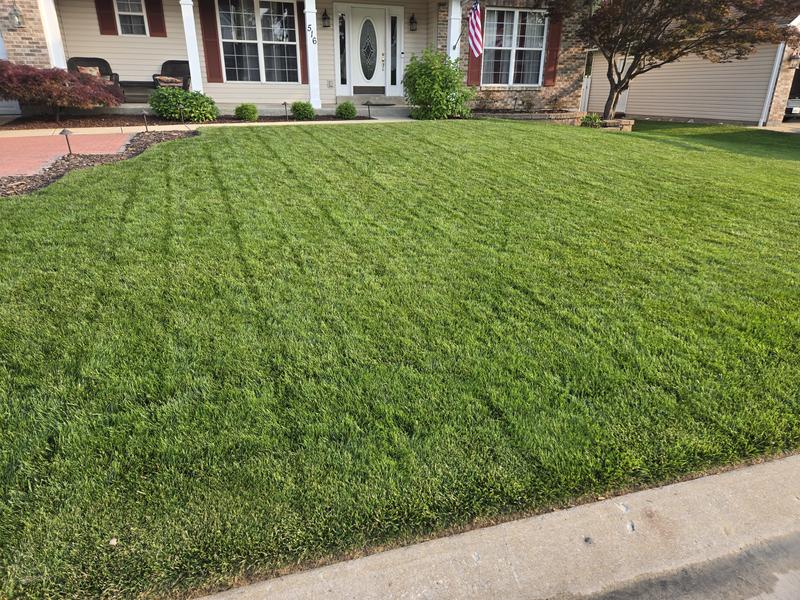 Photo - commentaire 7.