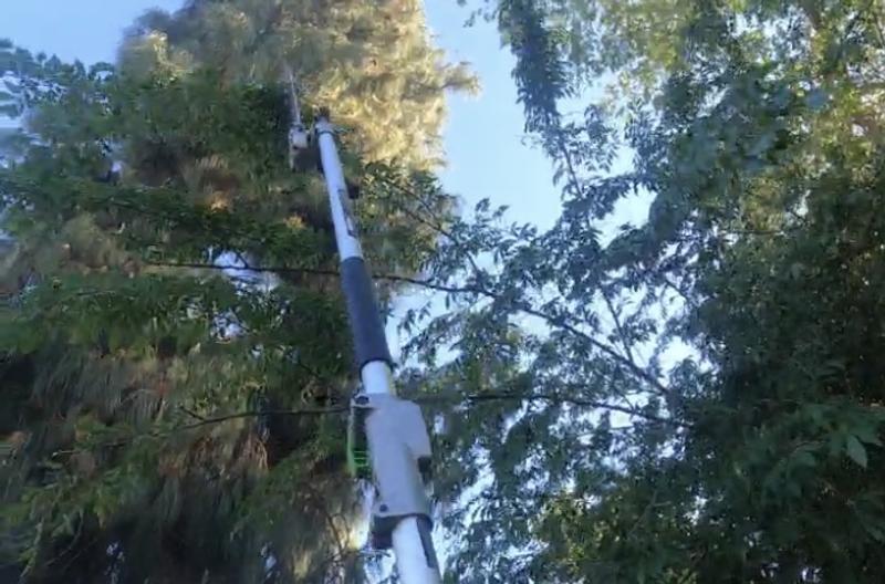 Photo - commentaire&nbsp;4.