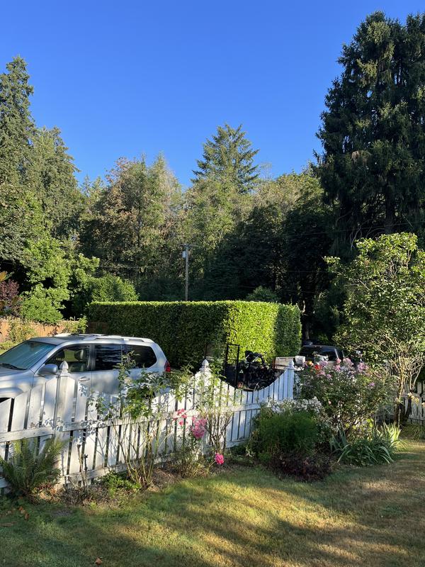 Photo - commentaire&nbsp;8.