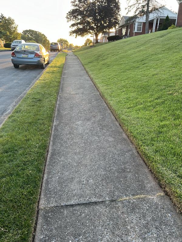 Photo - commentaire&nbsp;7.