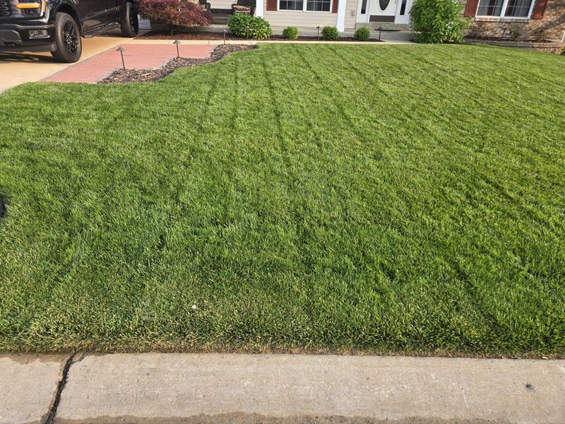 Photo - commentaire 8.