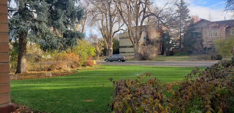 The blower is my trick to keeping my grass so green.