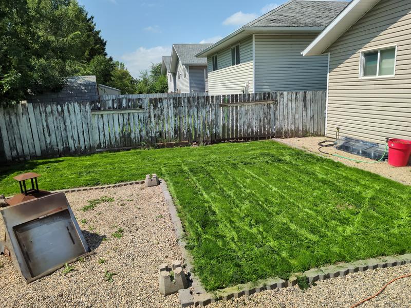 Photo - commentaire 5.