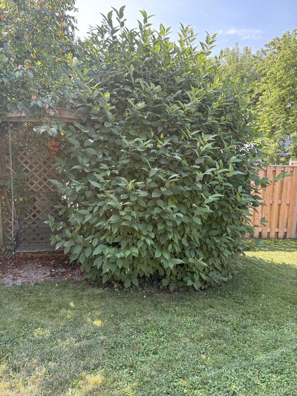 Photo - commentaire 3.