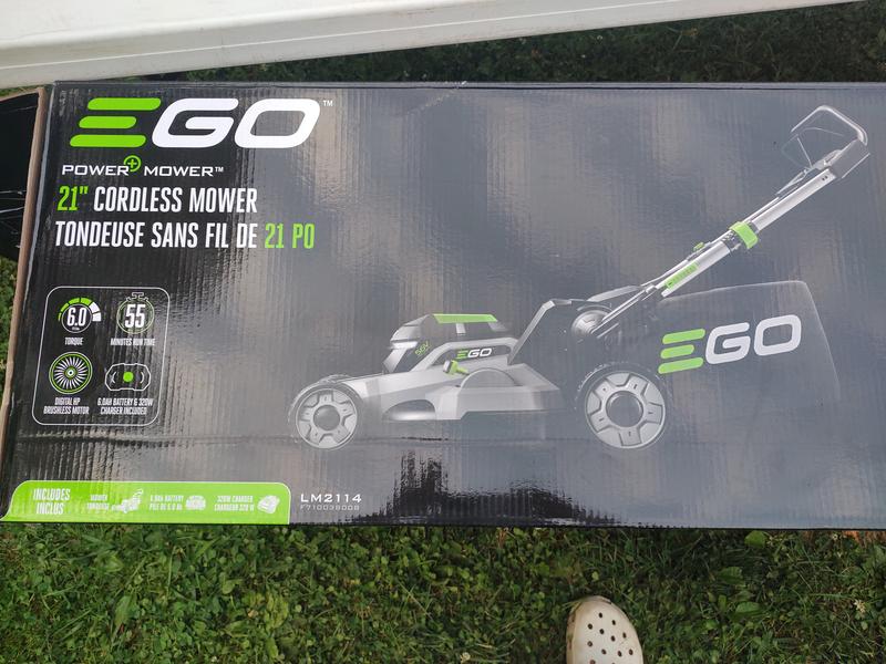 Photo - commentaire 4.