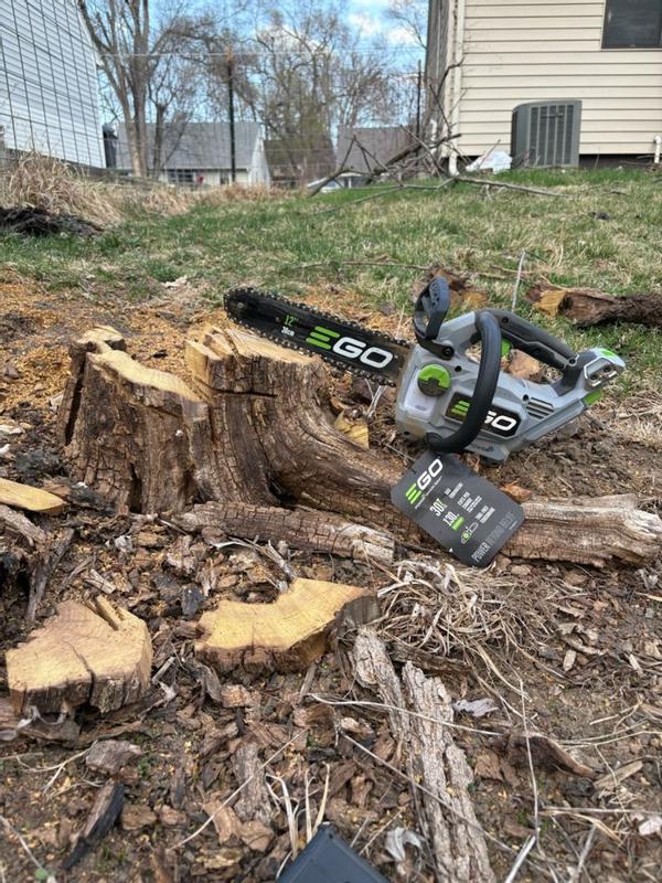 Photo - commentaire 6.