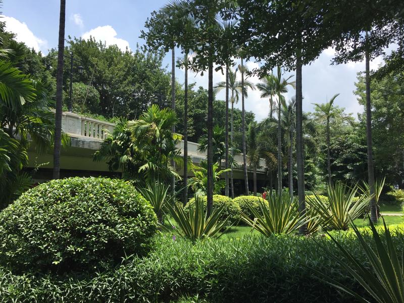 Photo - commentaire&nbsp;6.