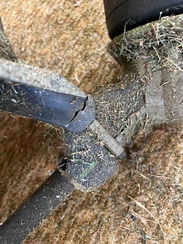 Photo - commentaire 1.