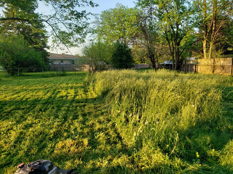 Photo - commentaire&nbsp;3.