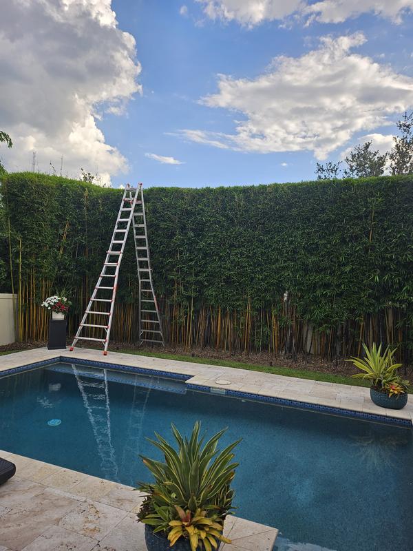 Photo - commentaire 5.