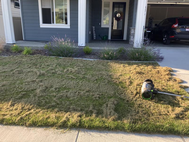 Photo - commentaire&nbsp;1.