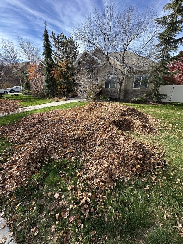Blew entire yard into one pile